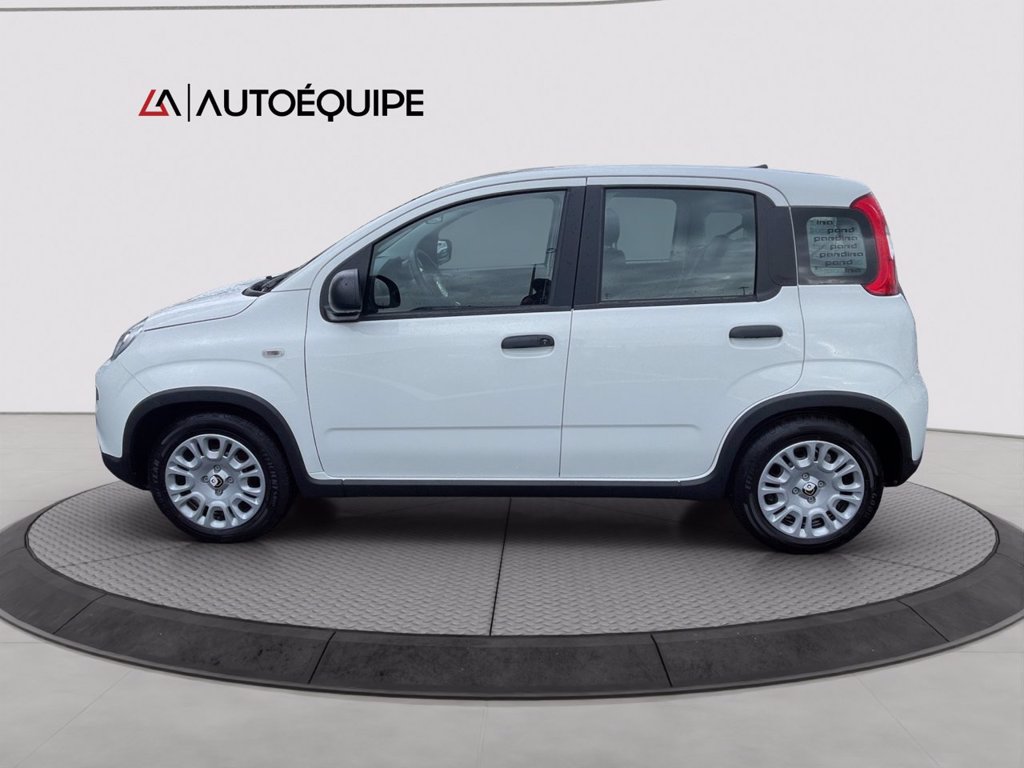 FIAT Panda 1.0 firefly hybrid s&s 70cv 5p.ti