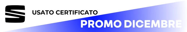 Seat Usato Certificato