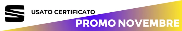 Seat Usato Certificato