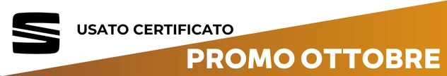 Seat Usato Certificato